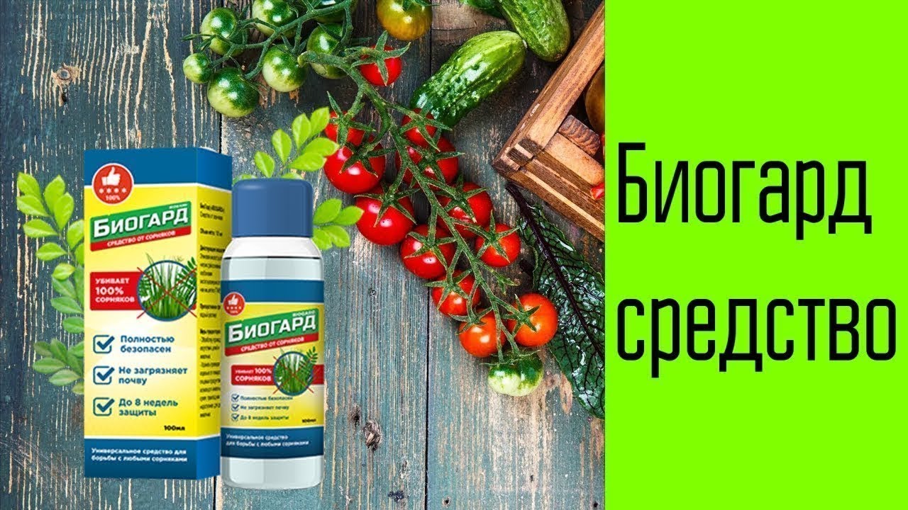 УНИЧТОЖИТЬ КОРЕНЬ ДЕРЕВА ☑ СРЕДСТВО ОТ СОРНЯКОВ ЯНДЕКС