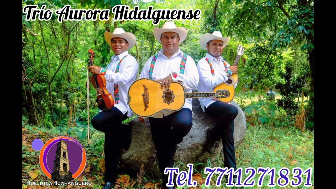 El Son Del Hilo - Tr&iacute;o Aurora Hidalguense