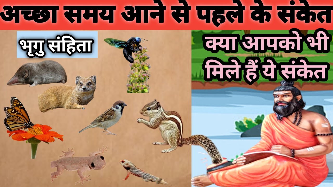 घर में ऐसे कीड़े लाते है शुभ संकेत। Ghar mein aise keede laate hain shubh sanket।मातालक्ष्मी..