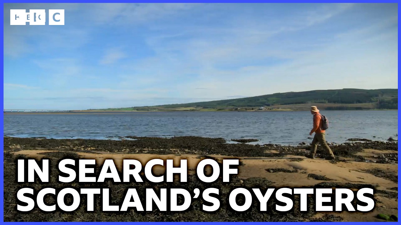 What Happened To Scotland’s Oysters? | Grand Tours Of Scotland’s Rivers