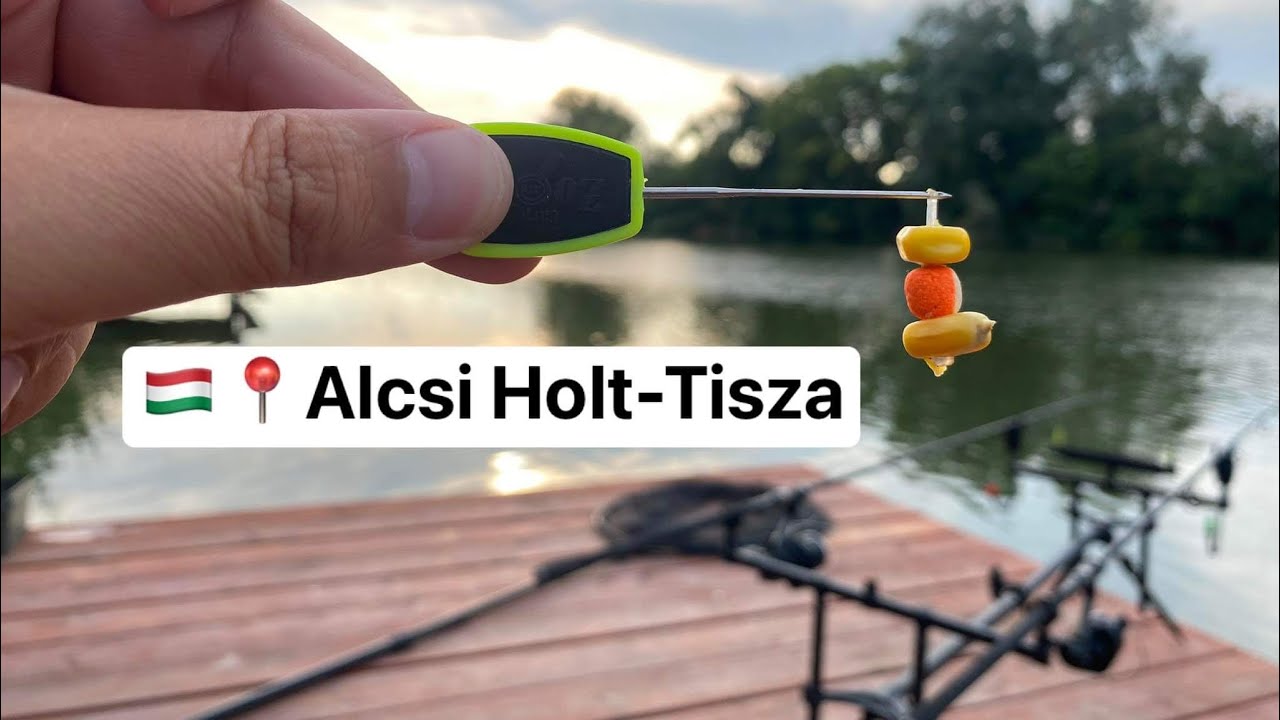Nagy busának indult ez a kapás! Szerintem ez tette tönkre a kapasjelzőt is… 🤪📍Alcsi Holt-Tisza