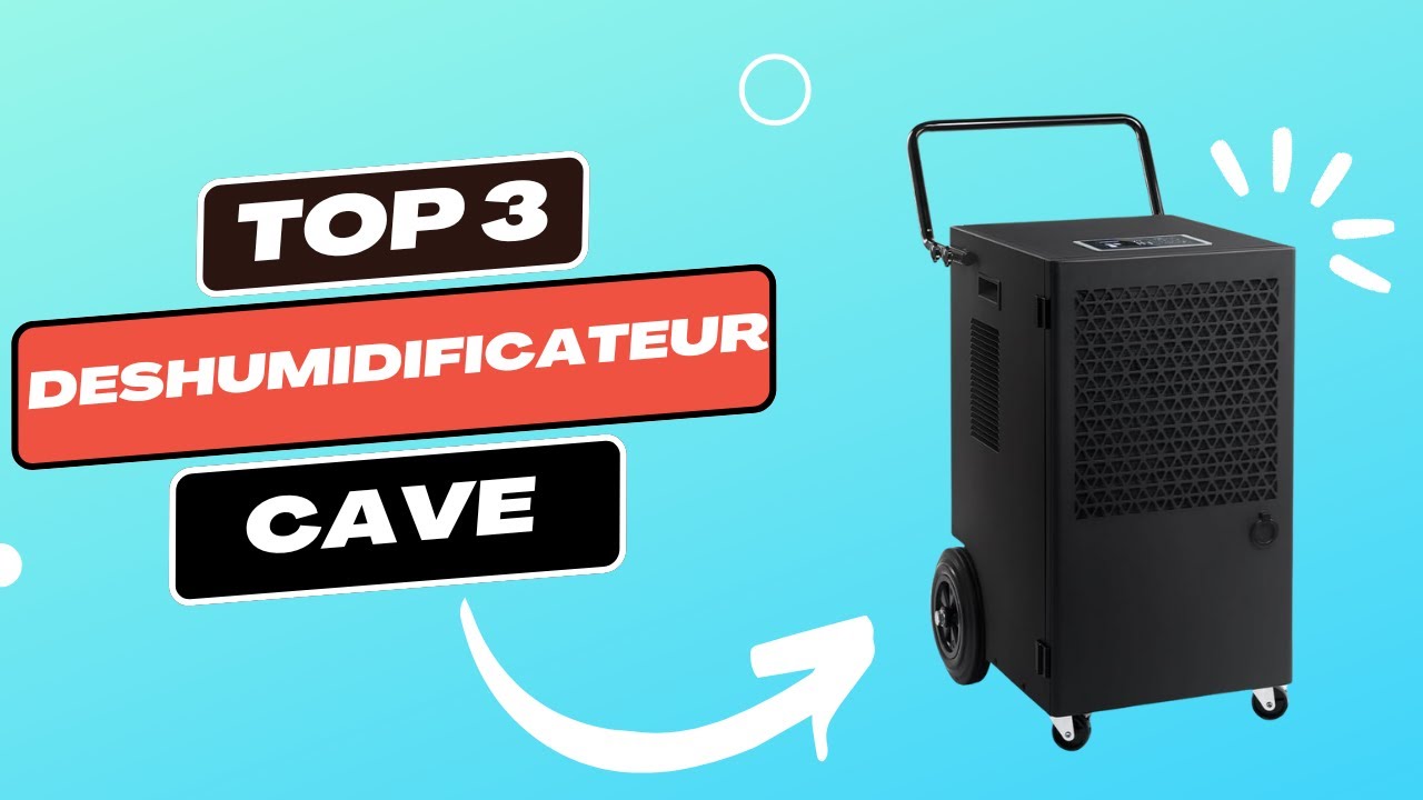 TOP 3 : Meilleur Déshumidificateur Cave 2026 | Comparatif & Avis détaillés