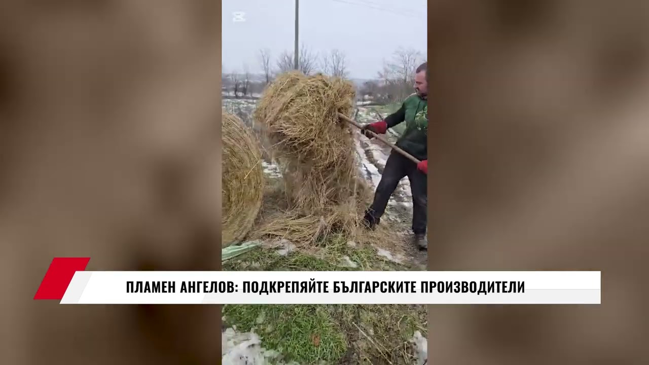 ПЛАМЕН АНГЕЛОВ: ПОДКРЕПЯЙТЕ БЪЛГАРСКИТЕ ПРОИЗВОДИТЕЛИ