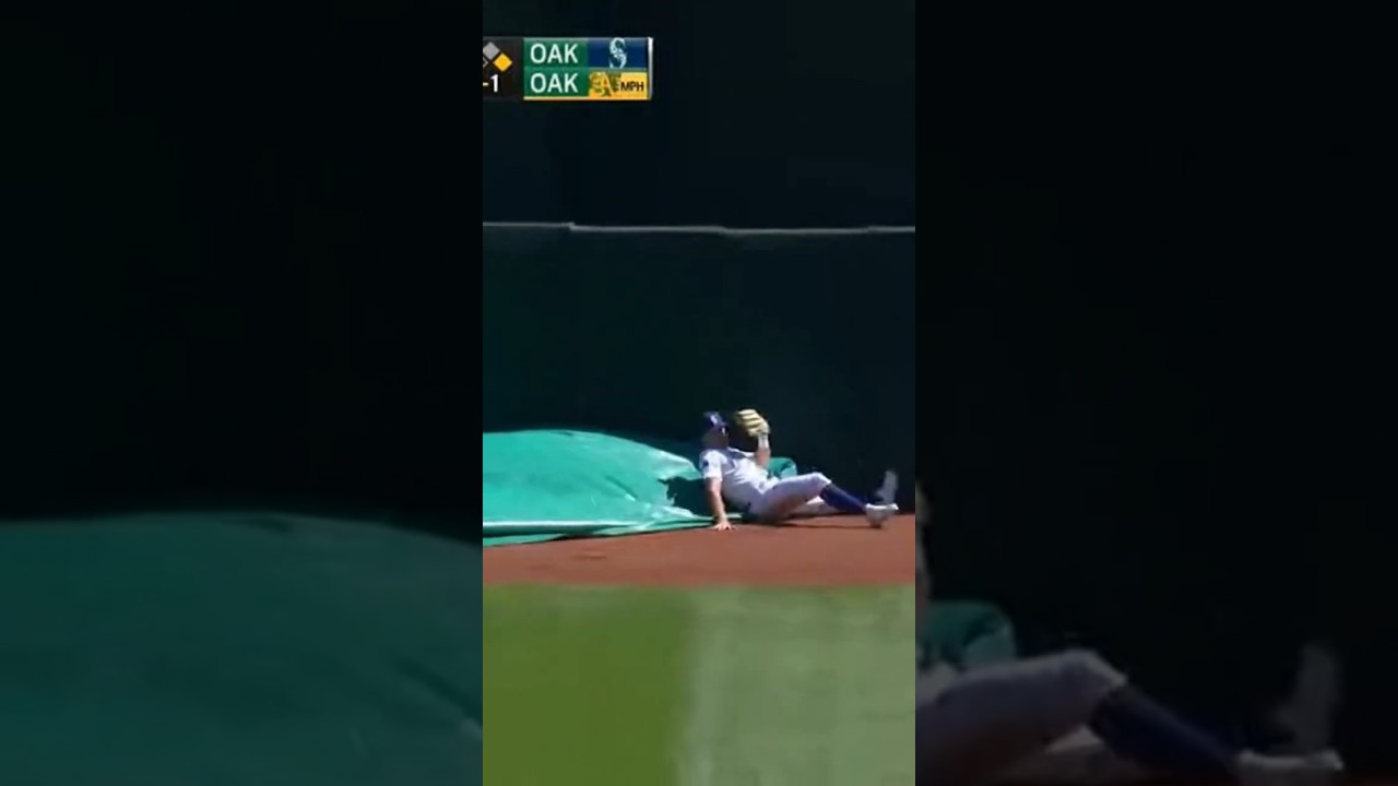 🎬&nbsp;The Tarp Took Him Out 😳