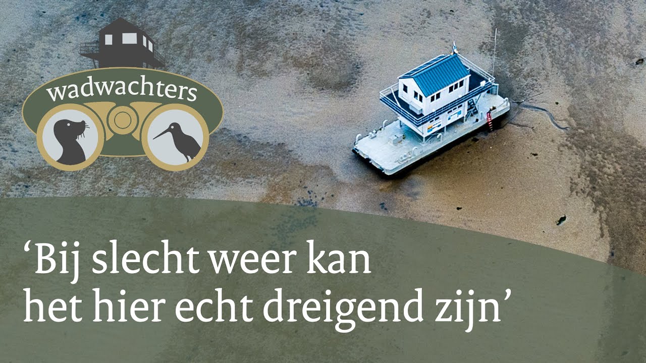 Dit drijvende huisje staat midden in de Waddenzee | Wadwachters | #3