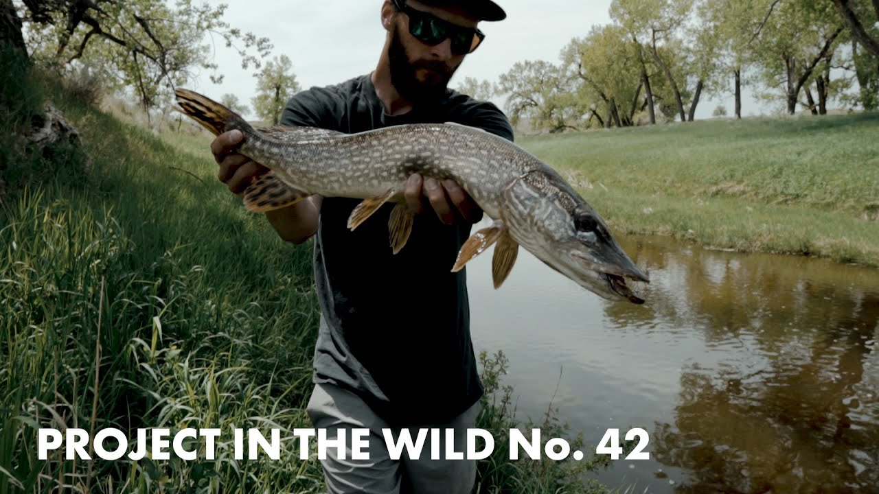 Throwing Big Streamers for Pike!- Project In The WILD No. 42 | (Fly Fishing for Pike)
