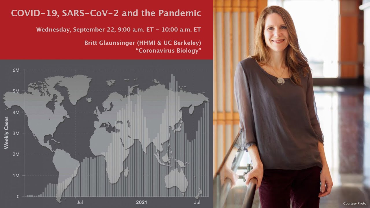 Britt Glaunsinger: 