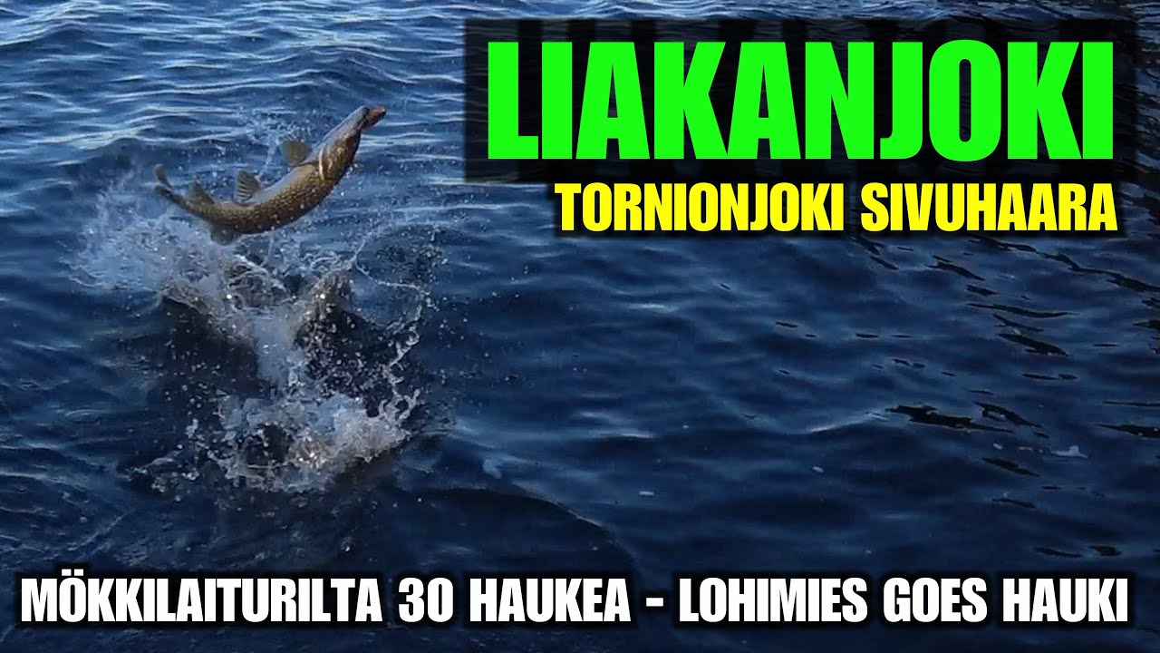 LIAKANJOKI KALASTUS - Haukia Mökkilaiturilta lohireissun ohessa. ( Tornio Kalapaikat ja kalastus )