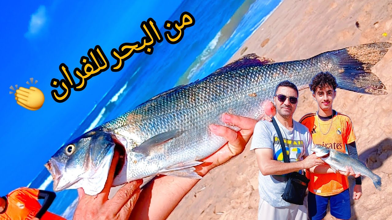 سمك الدرعي في الفرن من البحر للفران ما عطلناهاش 🤣