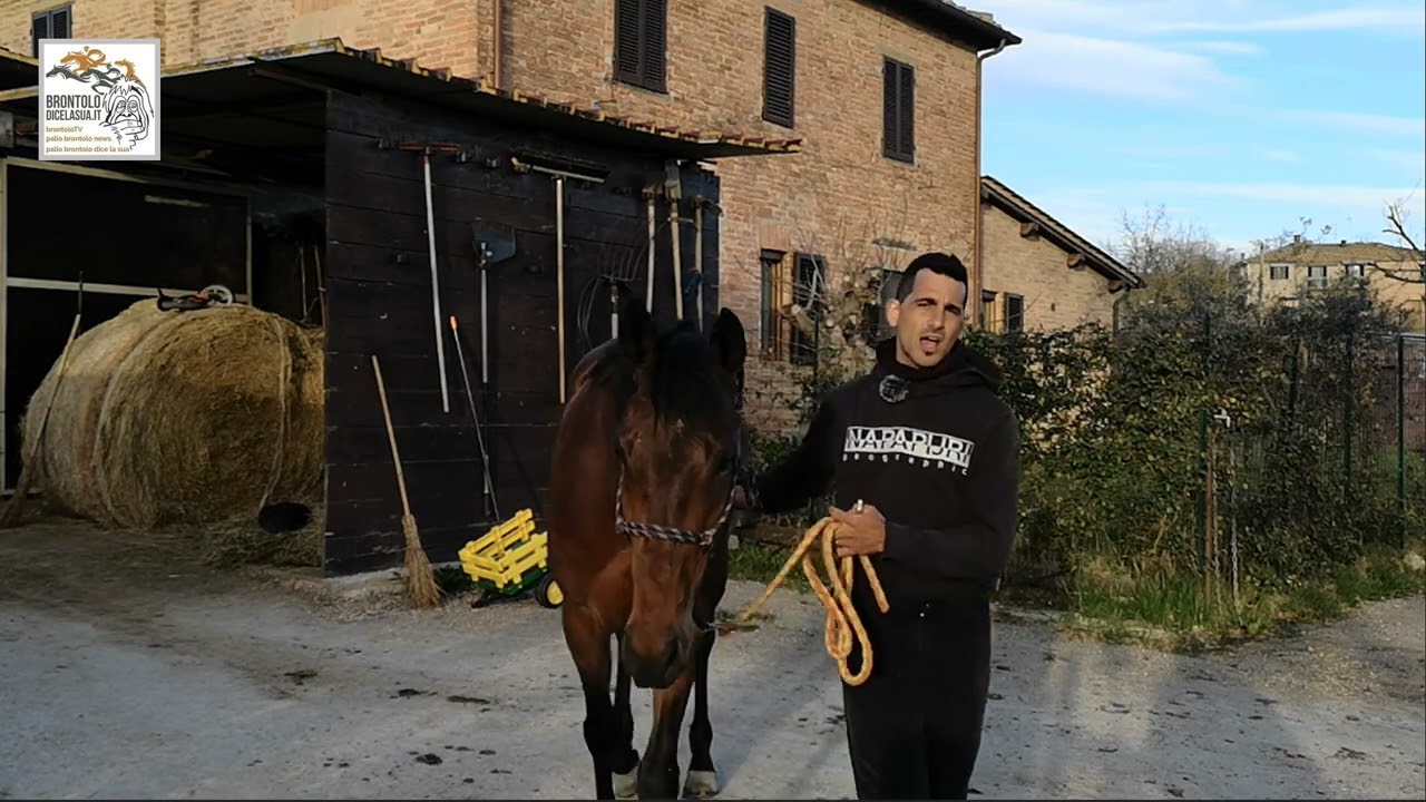 Dolcecomelanutella Scuderia Andrea Coghe  BrontoloWebTV Marzo 2023