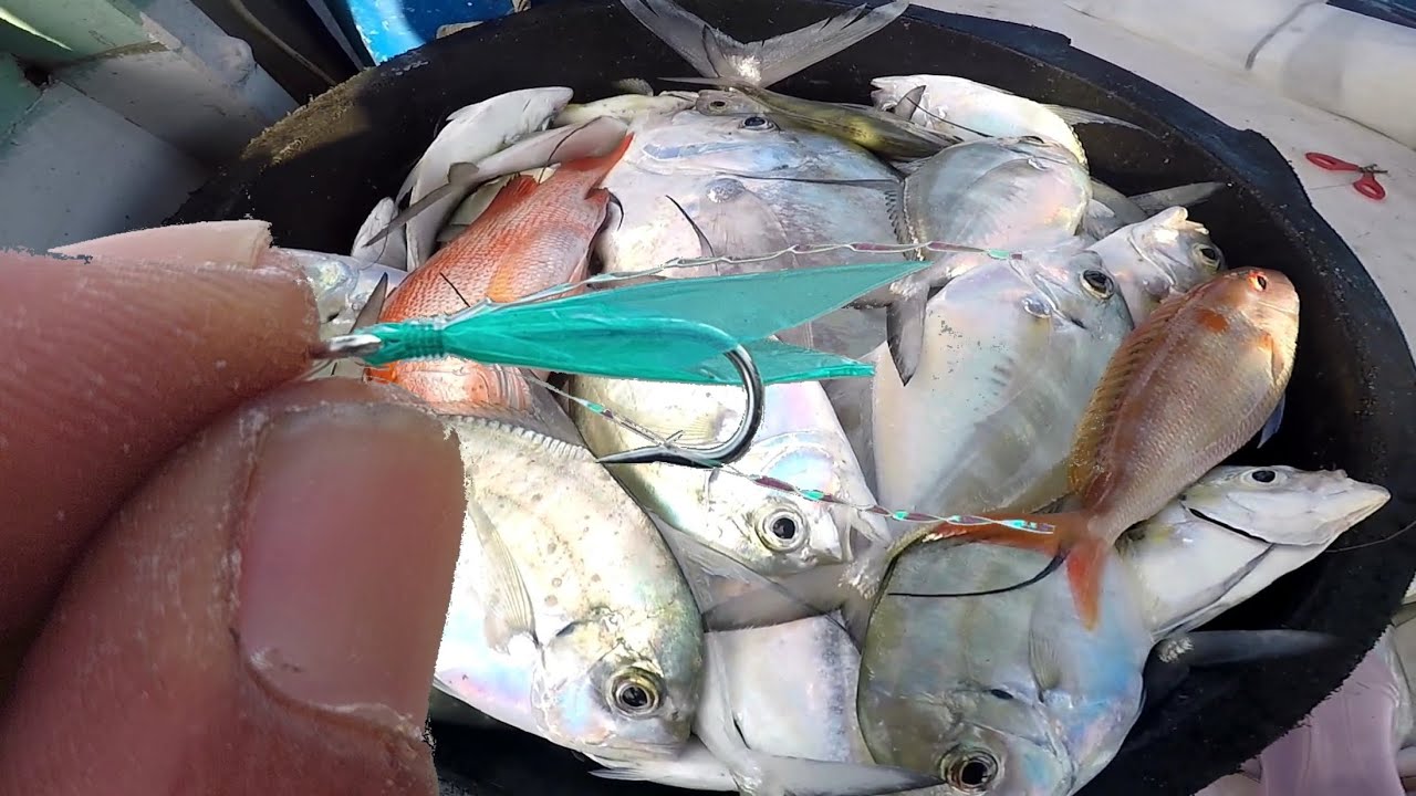 FULL STRIKE SABIKI !!! KEBAYANG CAPEK NARIK IKAN SEGINI BANYAK ???