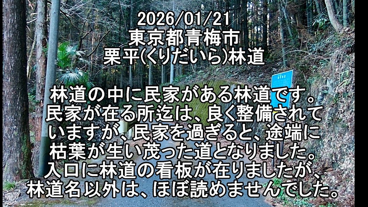 #東京都 #青梅市 #栗平林道 #Forestroad　　　　　2026/01/21 #vstrom250sx #Vストローム250SX #林道 #バイク