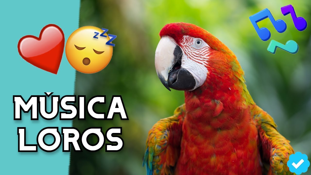 💤🦜МУЗЫКА ДЛЯ ПОПУГАЙ, ЧТОБЫ СНА | Музыка для попугаев, попугаев, неразлучников, птиц RELAX