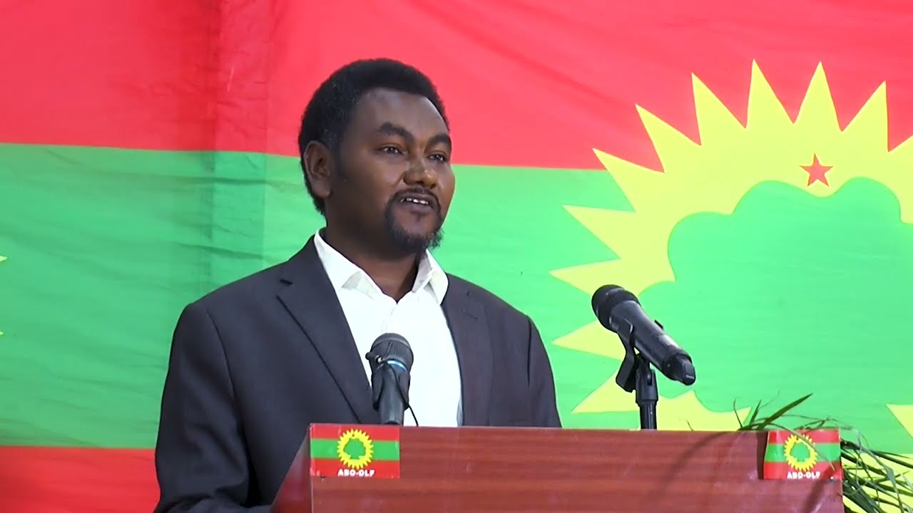 Tulluu Jibbiinsaa Diige HD ABO obbo Daawud Ibsaa