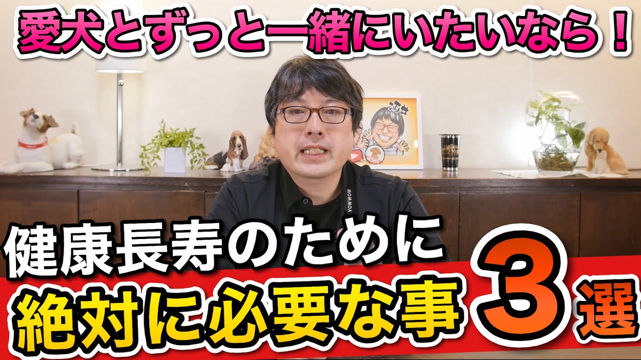 【犬の平均寿命と長生きの秘訣】をペットショップ店長が解説します！
