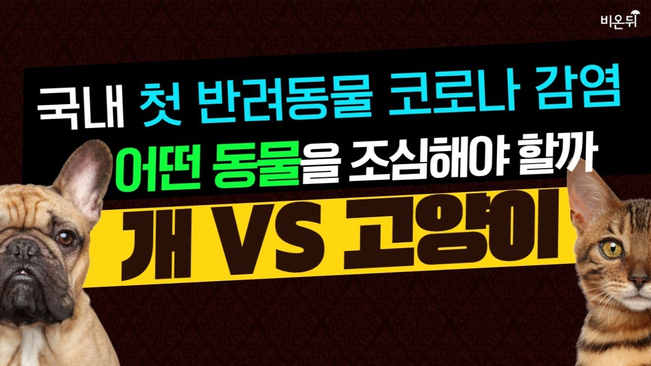 코로나19 