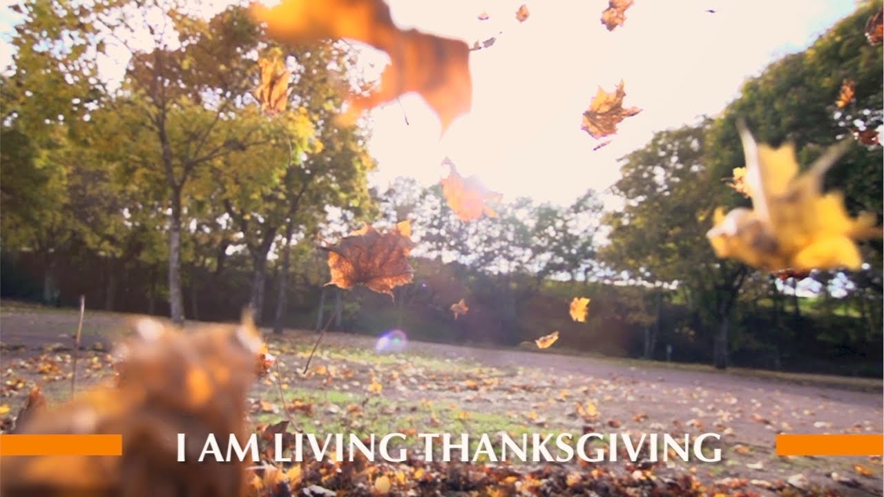 A Thanksgiving Meditation From Unity Prayer Ministry