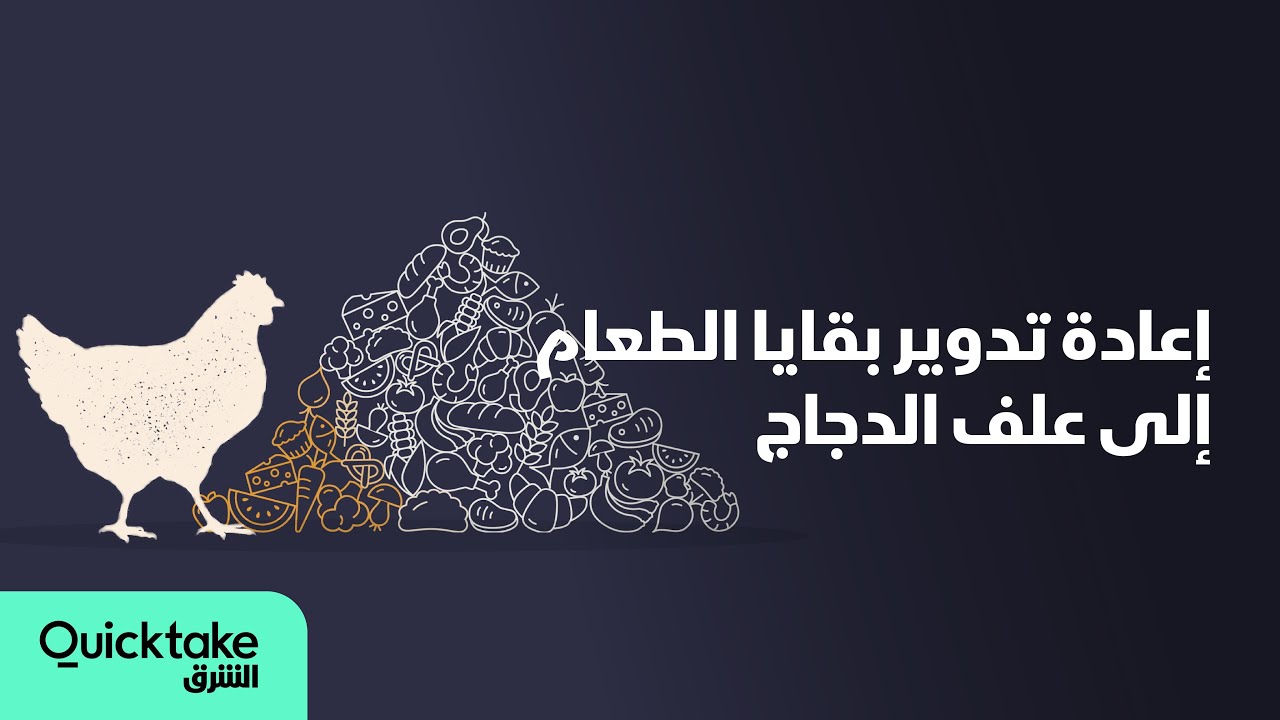 إعادة تدوير بقايا الطعام إلى علف الدجاج
