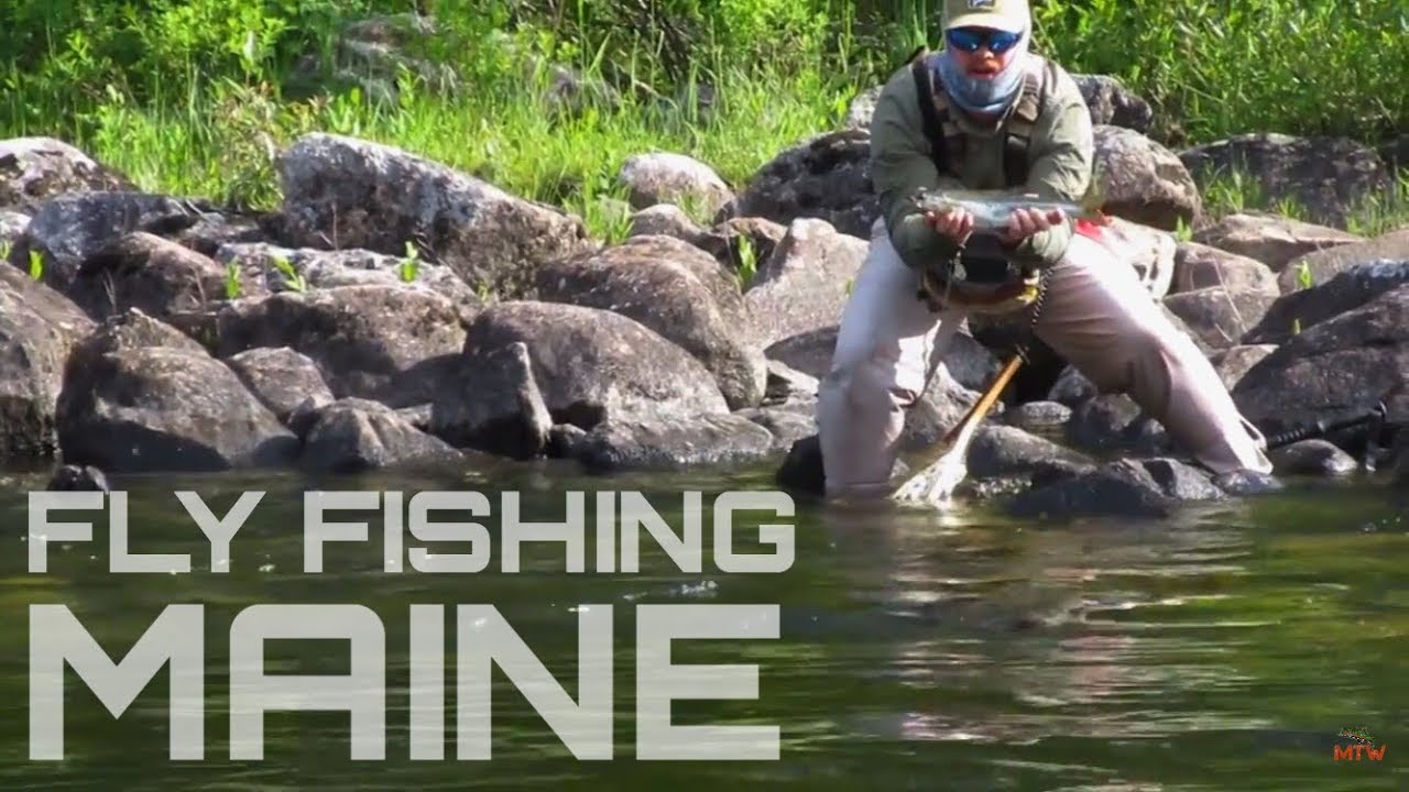 Rangeley Region Fly Fishing - TROUT & SALMON!