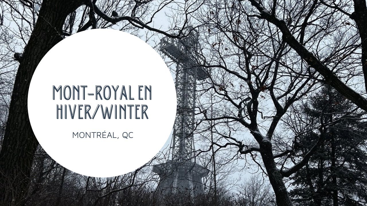 Mont Royal en Hiver/Winter 4K