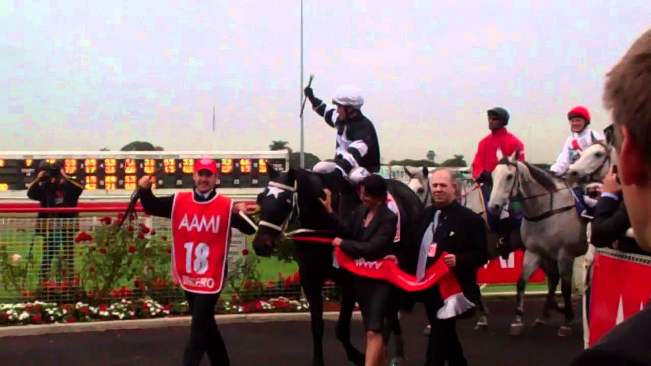 2011 Group 1 AAMI Stradbroke Handicap winner Sincero
