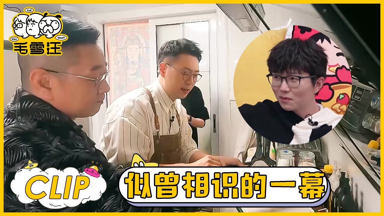 杜海涛做饭被张绍刚频频插手指挥，毛不易精准吐槽 |《毛雪汪》