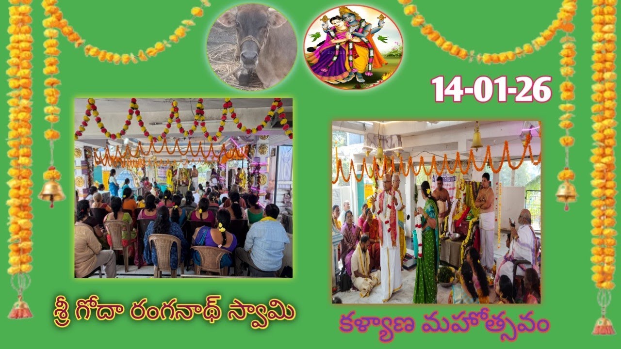 మన ఆలయం లో  శ్రీ  గోదా రంగనాథ్ స్వామి కళ్యాణ మహోత్సవం వైభవంగా నిర్వహించారు సింహపురి కాలనీ #కళ్యాణం 