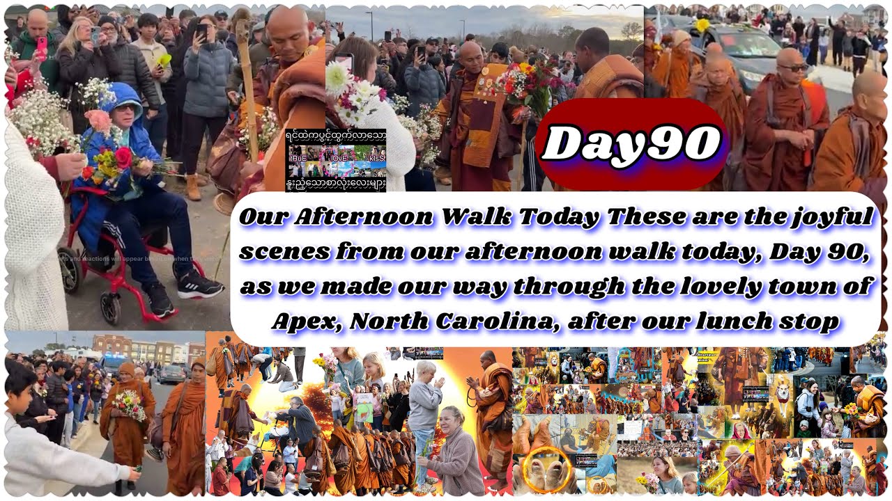🕊️🕊️🕊️We made our way through the lovely town of Apex, North Carolina, after our lunch stop