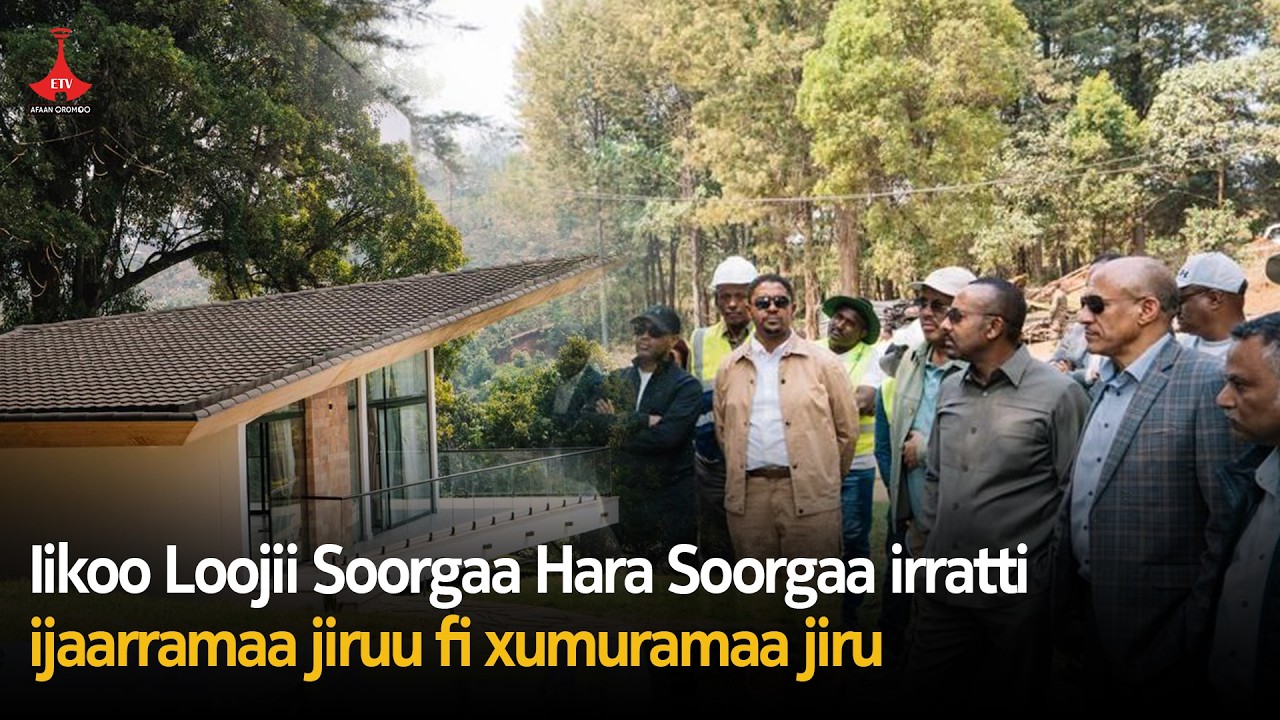 Iikoo Loojii Soorgaa Hara Soorgaa irratti ijaarramaa jiruu fi xumuramaa jiruetv  |Etv Afaan Oromoo|