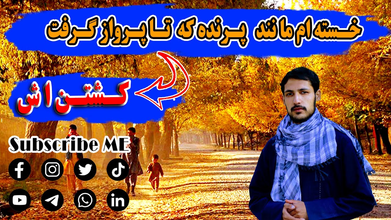 ویژه برنامه هارون وزیری ازساحه چهلستون وشاعران جوان مابه تمام علاقه مندان ودوستان تیک تاک capcat