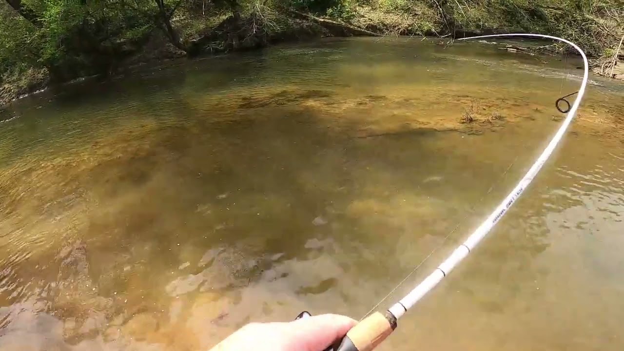 Upper Rappahannock River Smallmouth Fishing