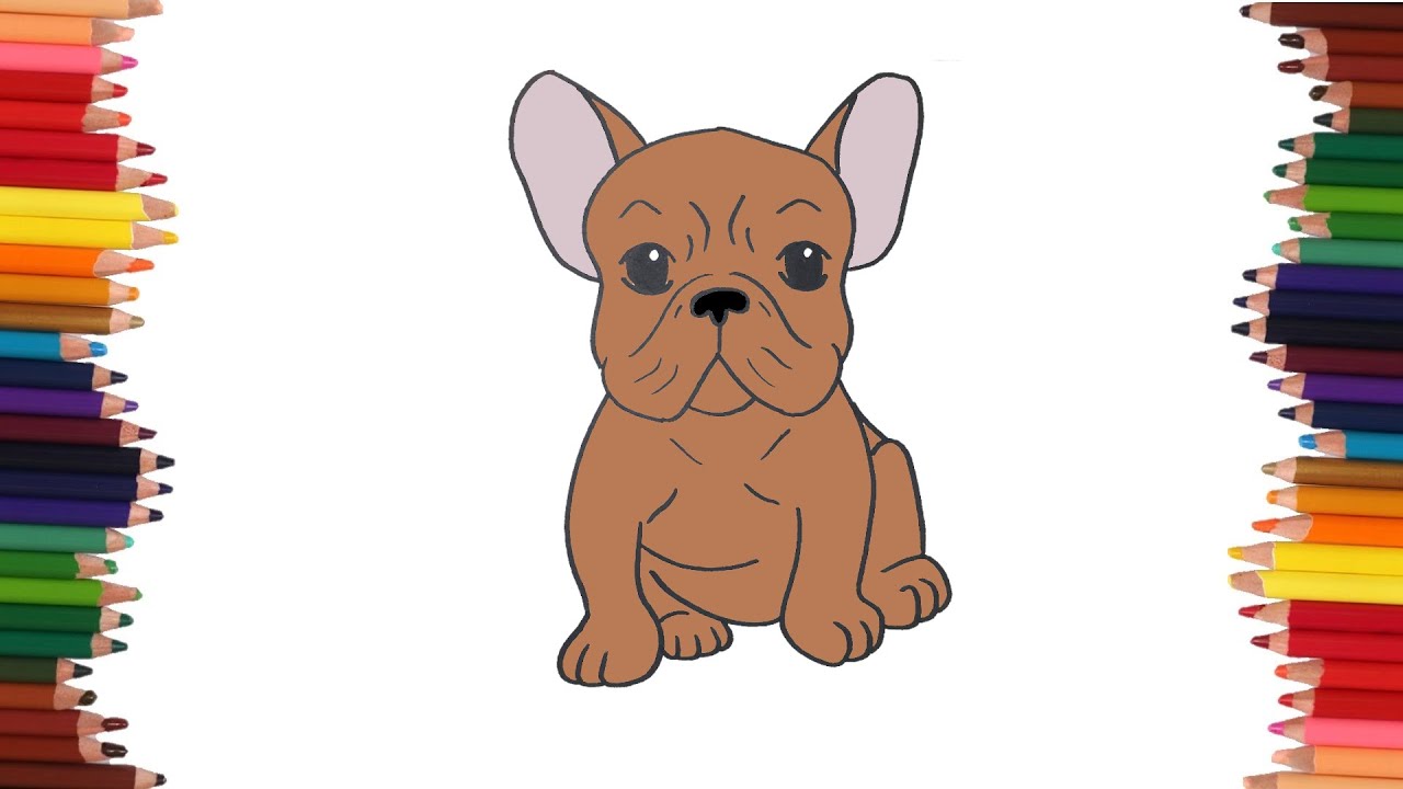 como dibujar un bulldog frances | Dibujos faciles