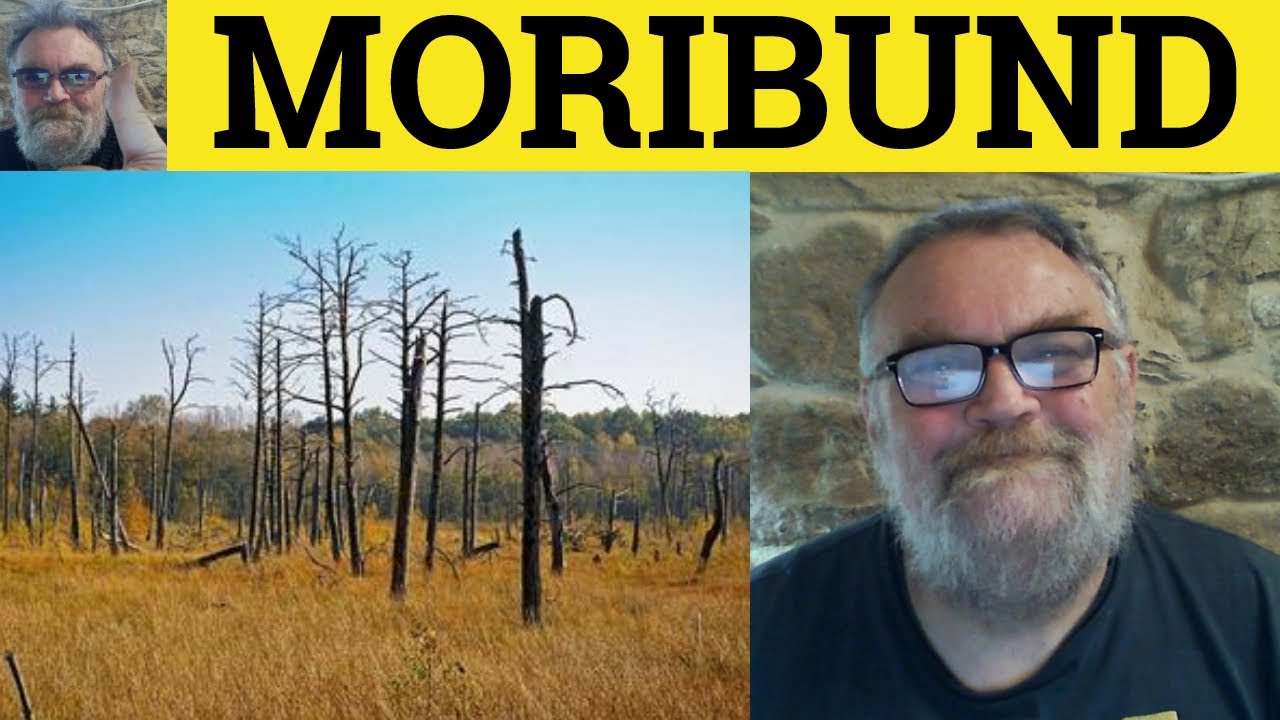 🔵 Moribund Meaning - Moribund Examples - Moribund Definition - GRE Vocabulary