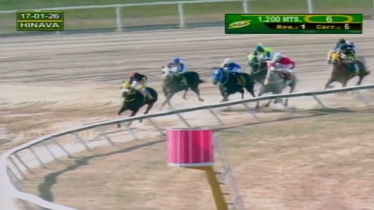 V6 | Enchated Moon | Hipódromo Nacional de Valencia | Reunión 01 | 2026