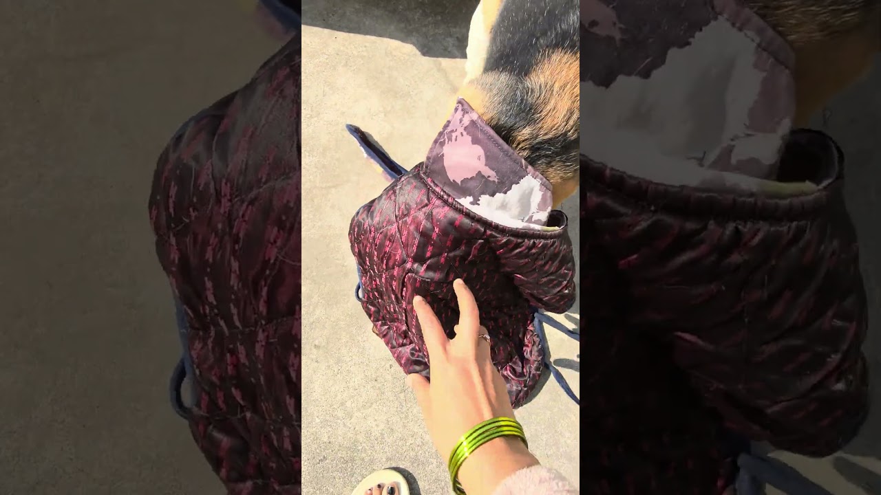 #viral