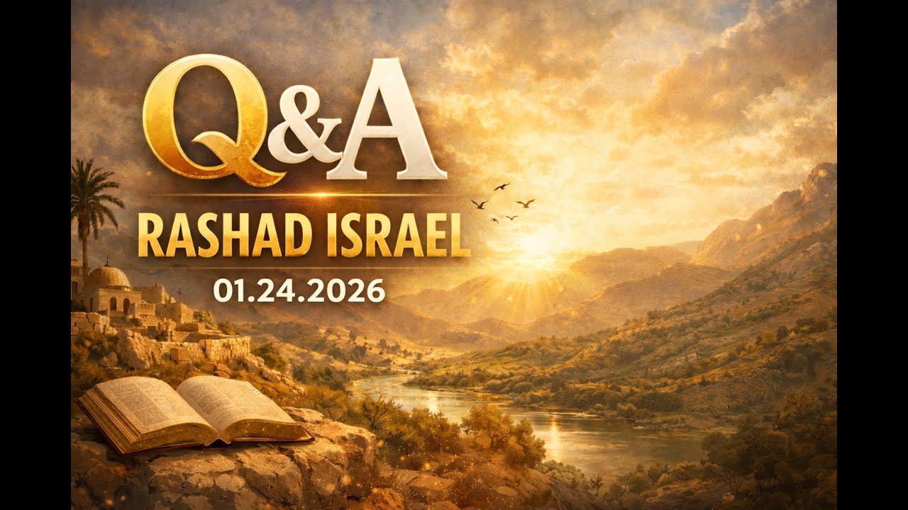 Q&A