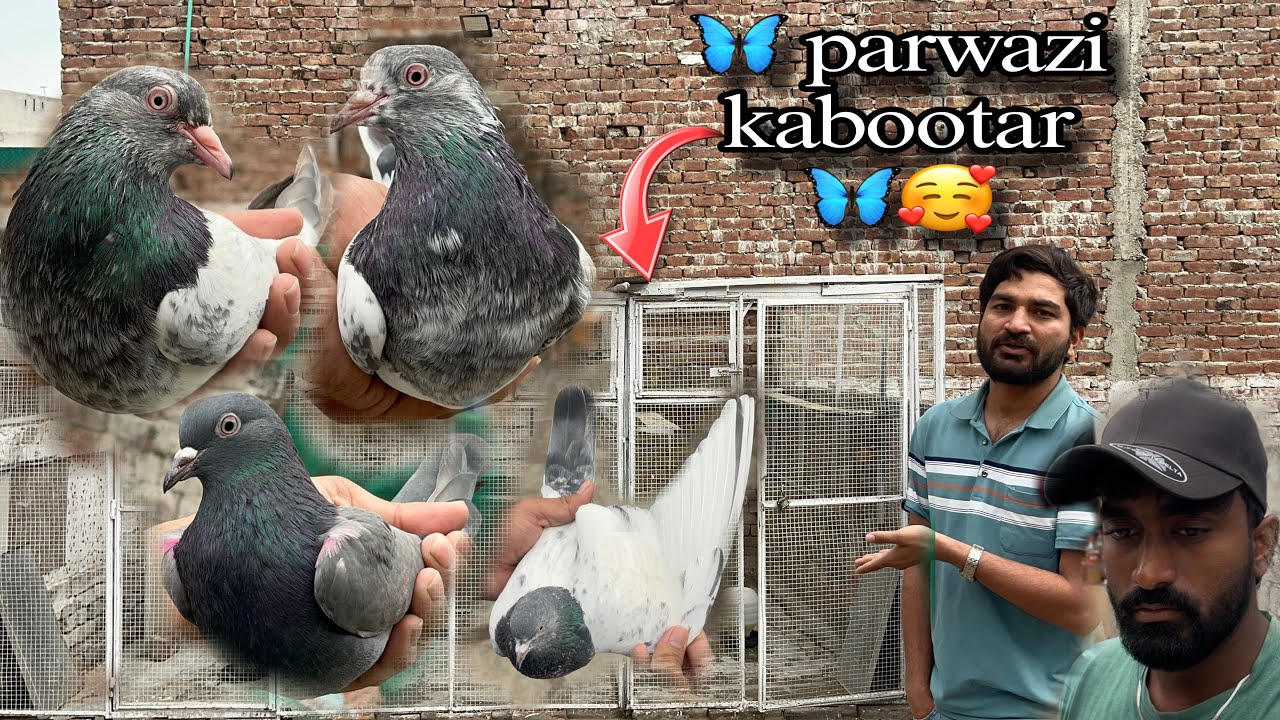 Abdullah ko howa Is season 40 hazar  ka nuqsan😱