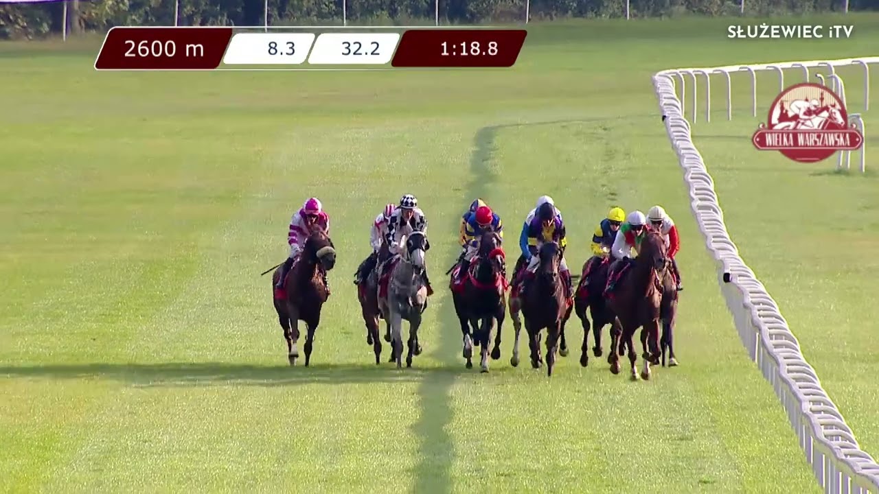 Wielka Warszawska - G1 POL (Kat.A) 25.09.2022 - (Dzień 34; Gonitwa 7)