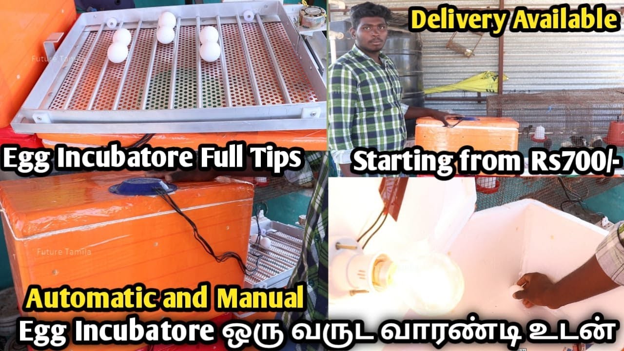 egg incubatore own manumafacturing with low price in chennai |Future Tamila
