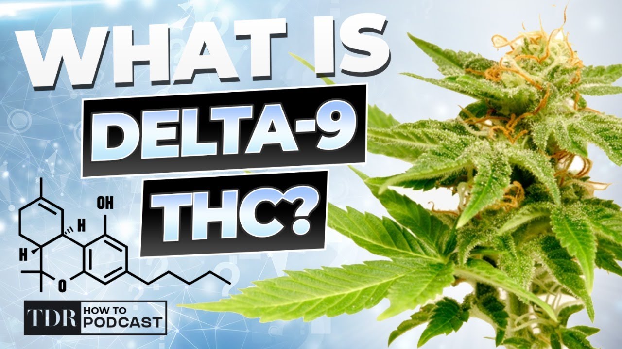 What is Delta 9 THC?