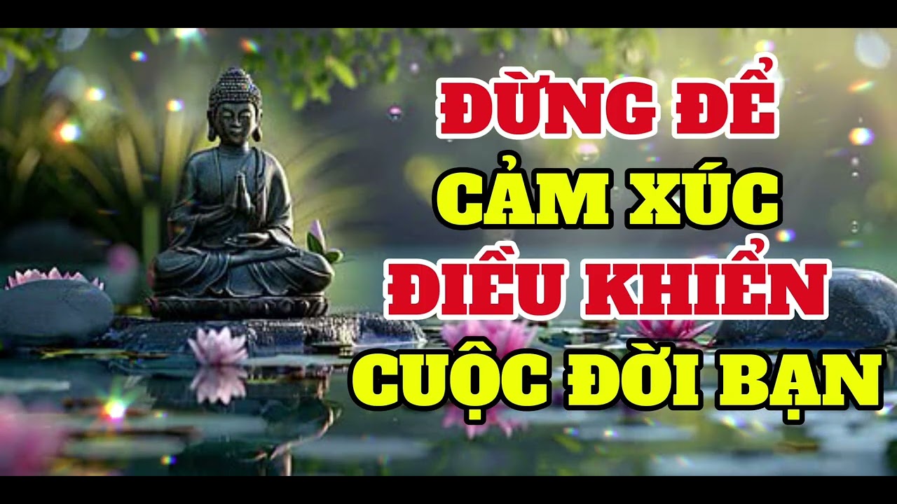ĐỪNG ĐỂ CẢM XÚC ĐIỀU KHIỂN CUỘC ĐỜI BẠN