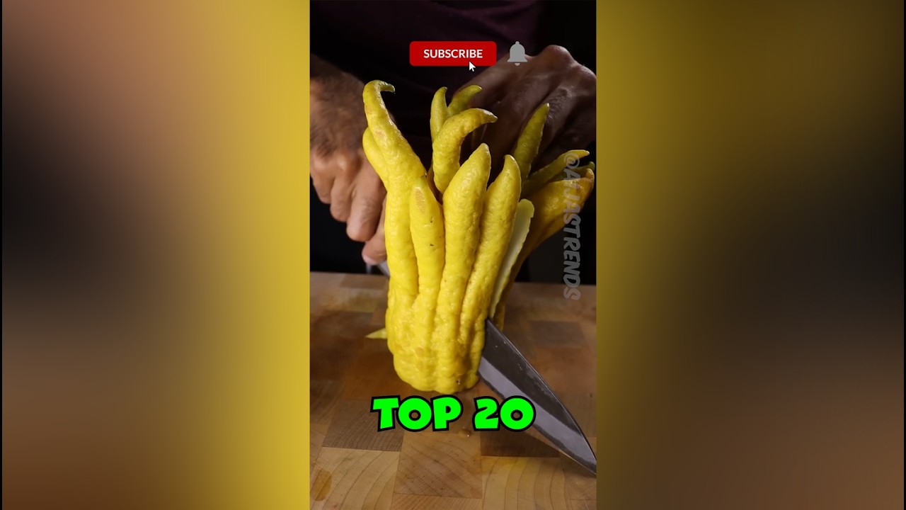 20 самых странных фруктов на Земле — №1 снесет вам крышу!