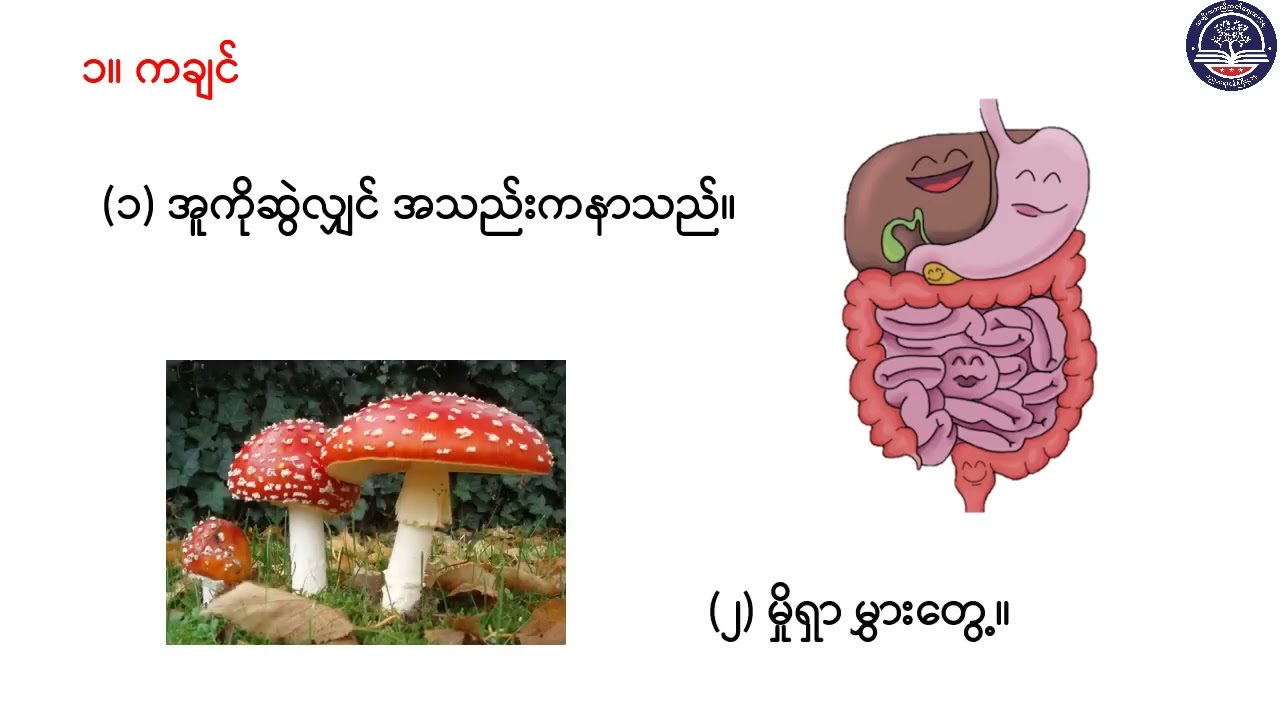 Grade 7 မြန်မာစာ၊ တိုင်းရင်းသားစကားပုံများ (စကားပုံ၊အသုံးချဘာသာစကား)၊ စာမျက်နှာ(၄၅)G7MY-Episode 29)