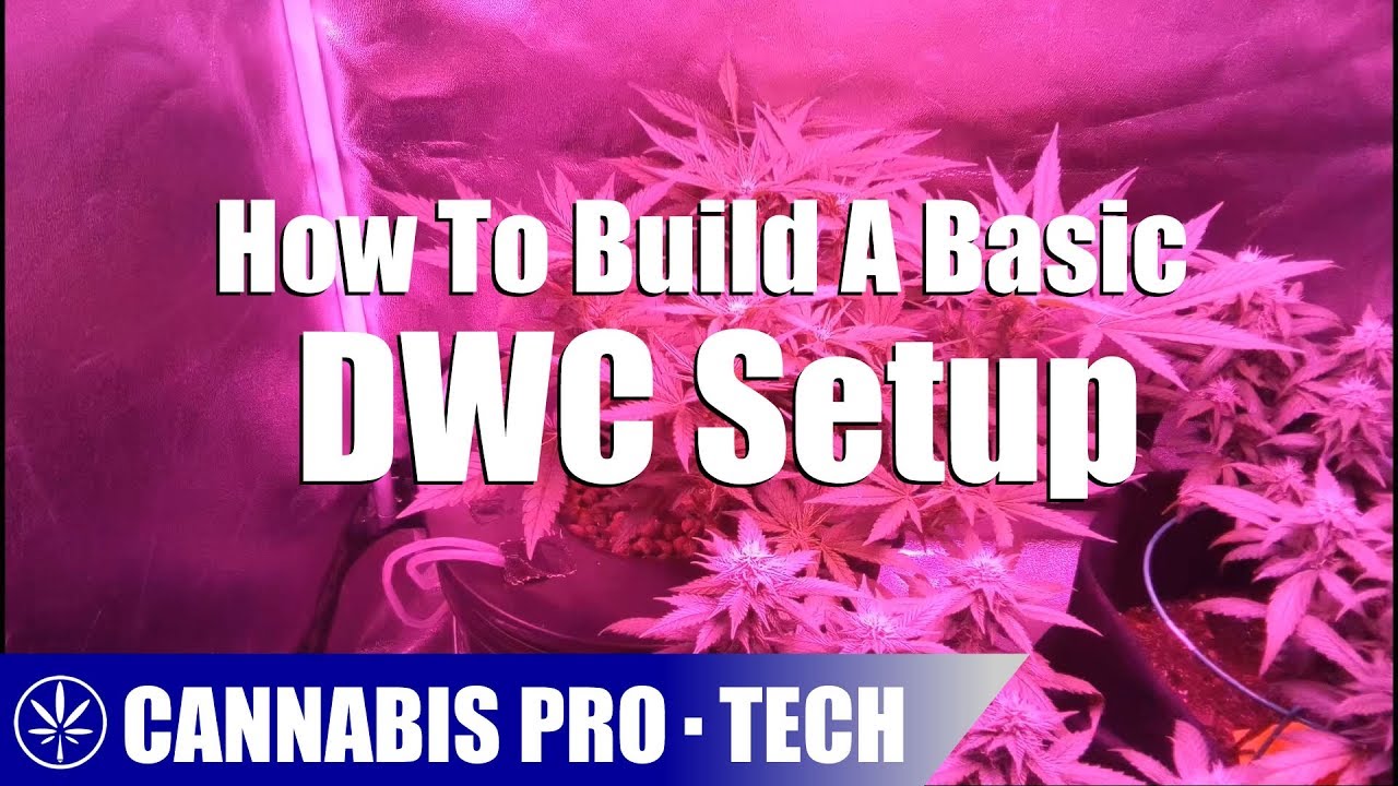 How To Build A Deep Water Culture Setup