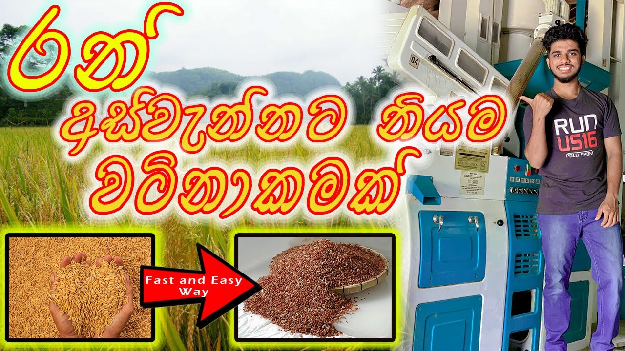 ස්වංක්‍රීය වීකෙටීමේ යන්ත්‍රය leema automatic rice mill full details