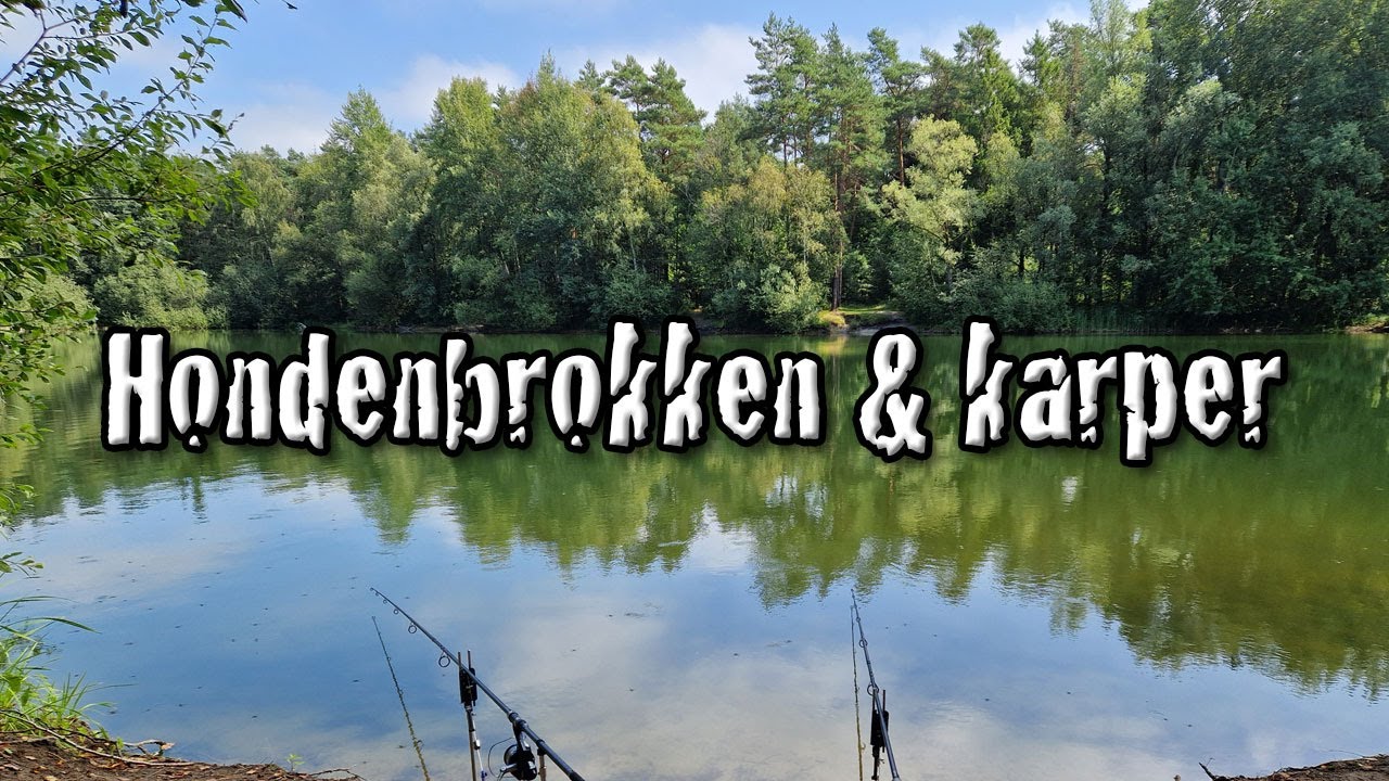 Met hondenbrokken vissen op karper