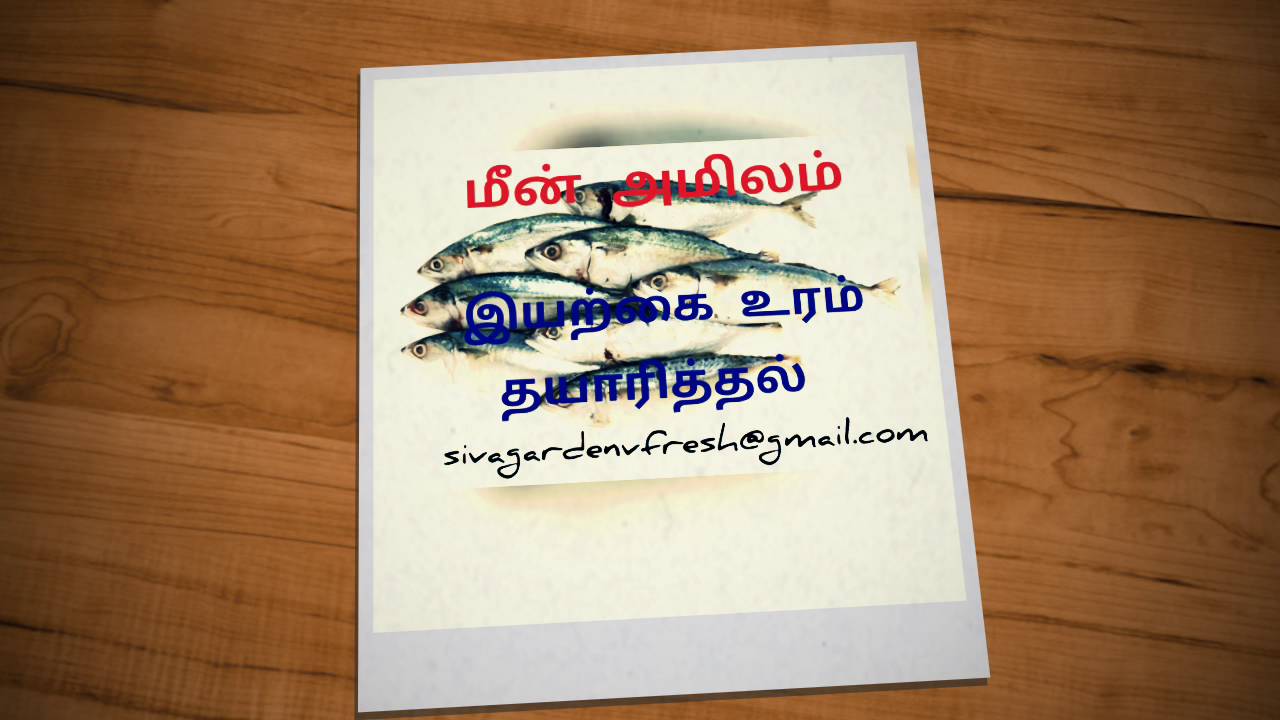 How to make Organic fertilizer tamil Meen Amilam