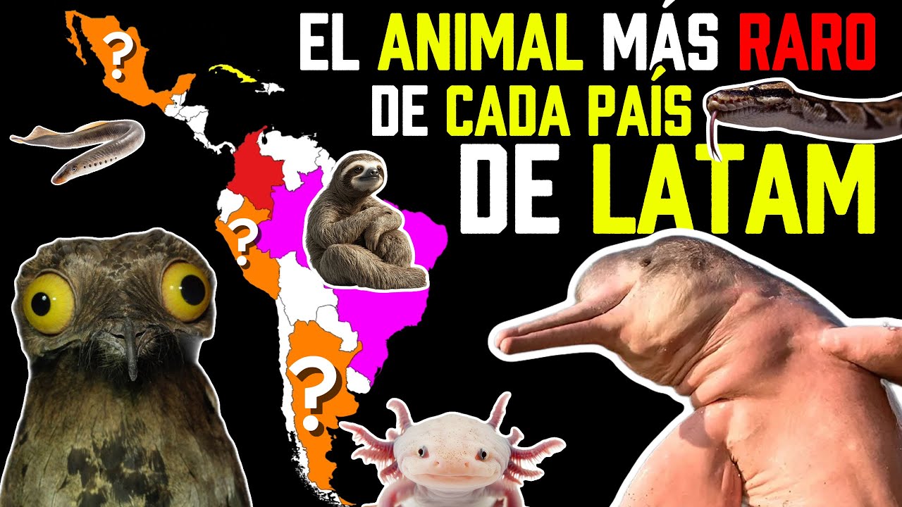 El animal m&aacute;s RARO de CADA PA&Iacute;S de LATINOAM&Eacute;RICA (Tambi&eacute;n USA y Canad&aacute;) .