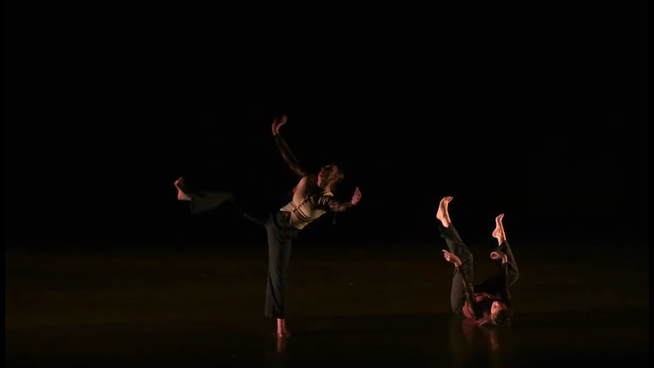 Flow and Stagnation- Z Taylor Choreography