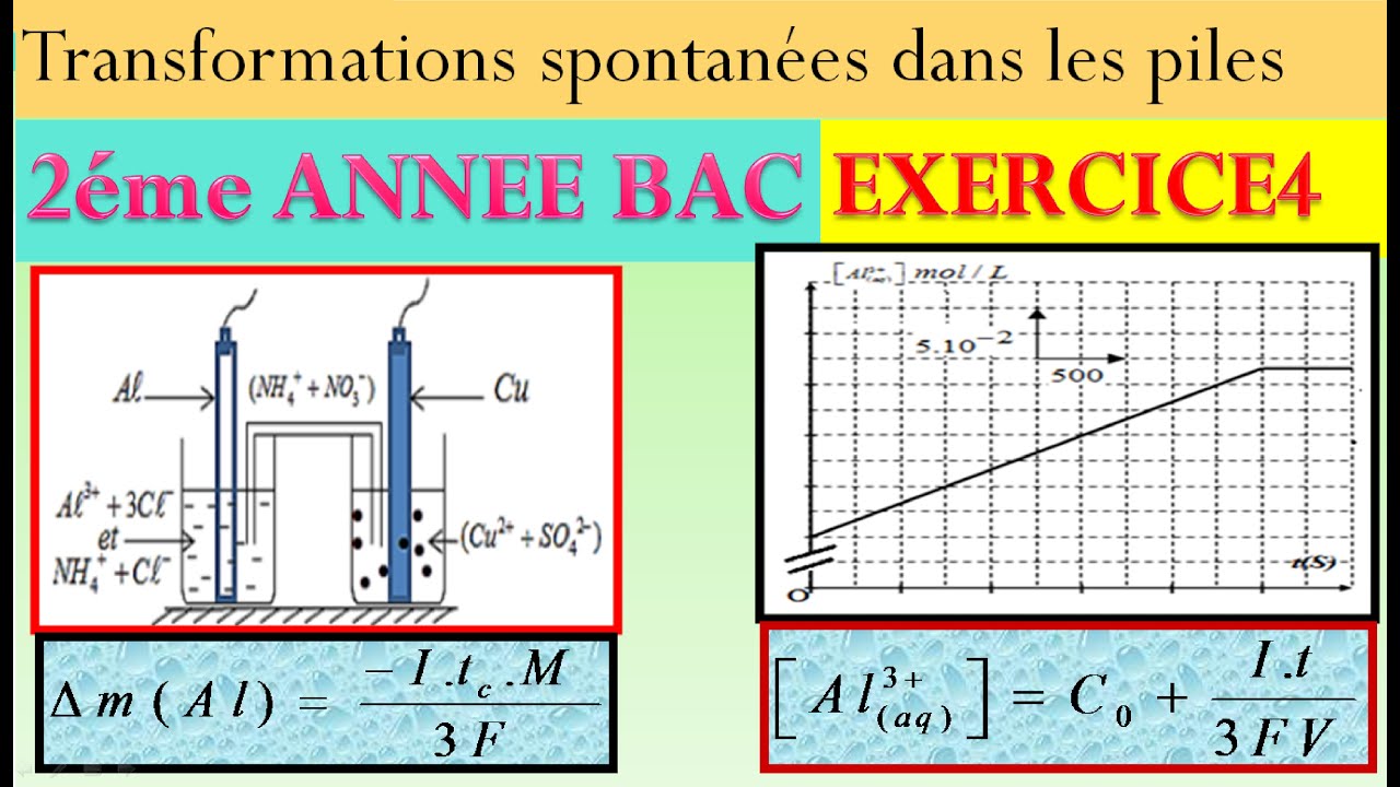 EXERCICE N4 SUR LES PILES POUR 2 BAC BIOF